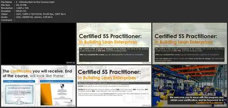 Certified 5S Practitioner: In Building Lean Enterprises