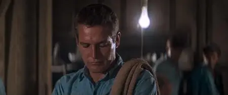 Cool Hand Luke (1967)