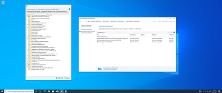 Windows 10 Version 20H2(2004) build 19042(19041).1110 Business & Consumer Editions