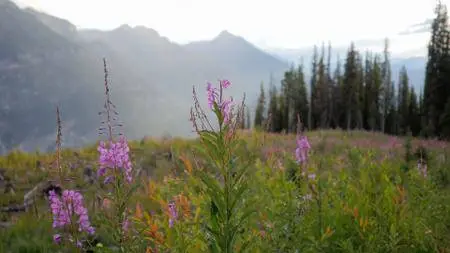 Smithsonian Earth - Wild Rockies: Series 1 (2017)