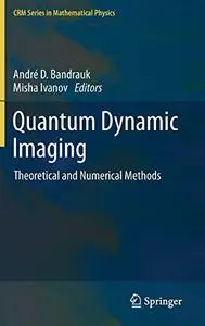 Quantum Dynamic Imaging: Theoretical and Numerical Methods (Repost)