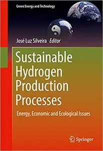 Sustainable Hydrogen Production Processes: Energy, Economic and Ecological Issues (Repost)