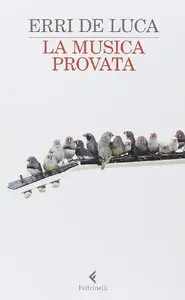 Erri De Luca - La musica provata