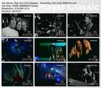 Red Hot Chili Peppers - Snow (Hey Oh) - Music Video