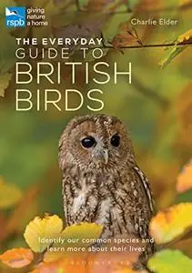 The Everyday Guide to British Birds: Identify our common species and learn more about their lives