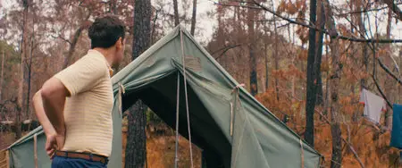 Prince Avalanche (2013)
