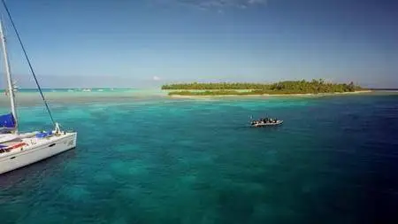 BBC - Blue Planet II Part 3: Coral Reefs (2017)