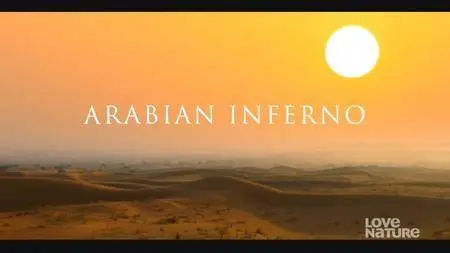 Blink Films - Arabian Inferno (2017)