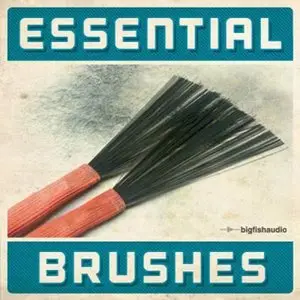 Big Fish Audio Essential Brushes KONTAKT DVDR