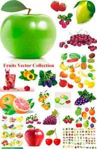 Fruit Vector Collection 