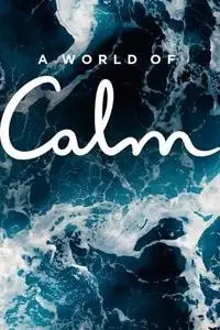 A World of Calm S01E09