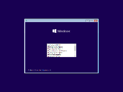 Windows 10 Pro 21H1 10.0.19043.1081 (x86/x64) With Office 2019 Pro Plus Preactivated Multilingual June 2021