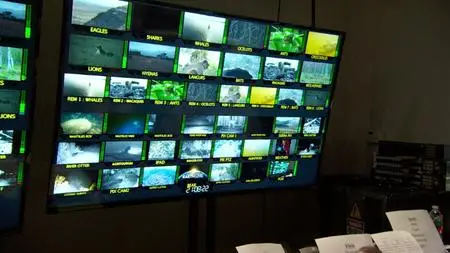 Earth Live (2017)
