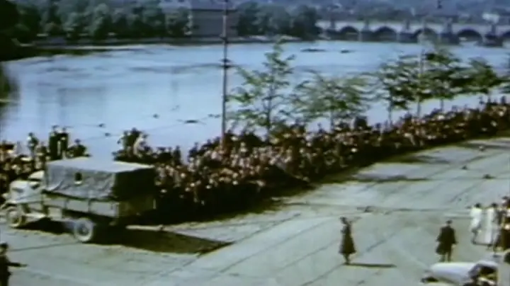 1945: The Savage Peace (2015)