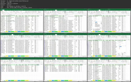 Excel 2016: Managing and Analyzing Data [Updated: 2/11/2025]
