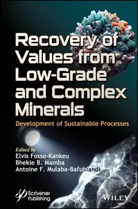 Recovery of Values from Low-Grade and Complex Minerals: Development of Sustainable Processes