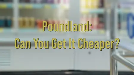 CH5. - Poundland: Can You Get It Cheaper? (2024)