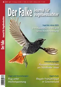 Der Falke Journal für Vogelbeobachter - April 2025
