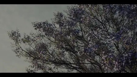 Nobody Wants This S02E08