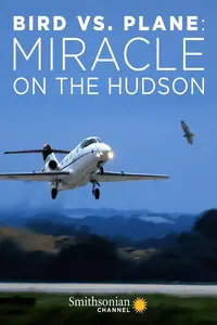 Bird vs. Plane: Miracle on the Hudson (2019)