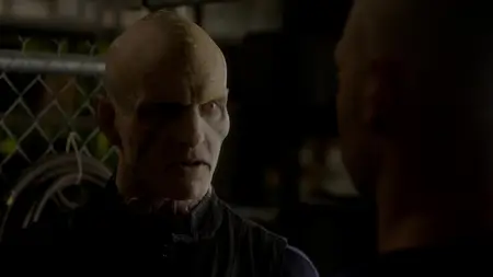 The Strain S04E09