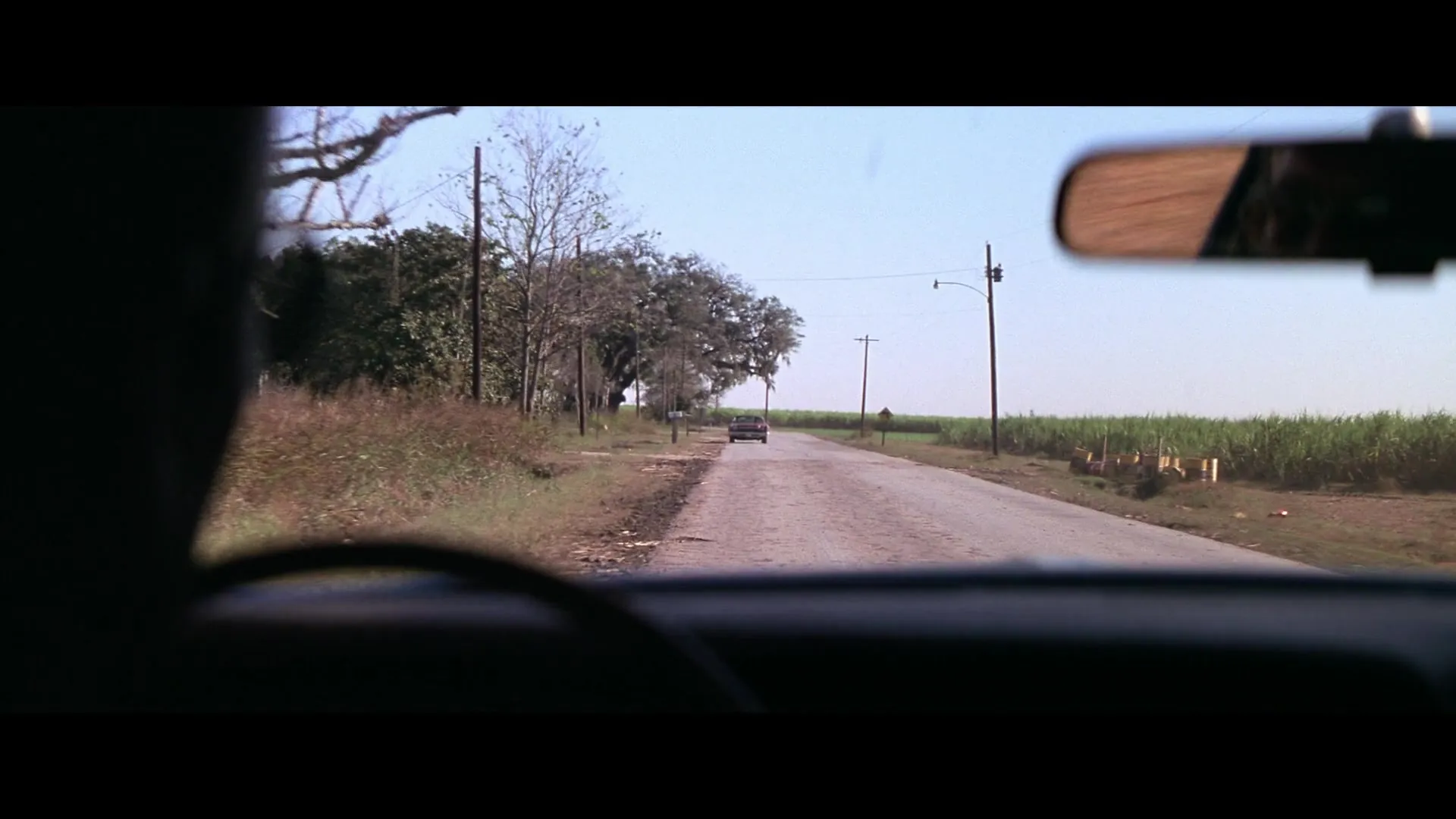 The Drowning Pool (1975)