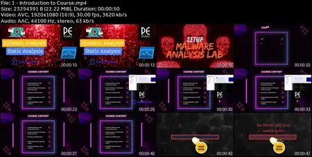 Practical Malware Analysis for Beginners