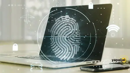 Identity & Access Management (IAM) Basics