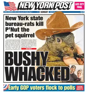 New York Post - November 3, 2024