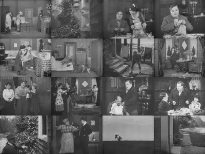 The Rough House (1917)