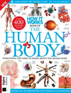 How It Works Book of the Human Body - 22nd Edition - 21 August 2025