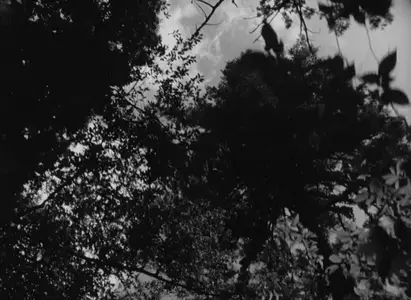 Rashômon (1950) Rashomon