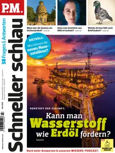 P.M. Fragen & Antworten - Juli 2025