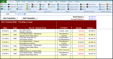 Checkbook For Excel 6.1b