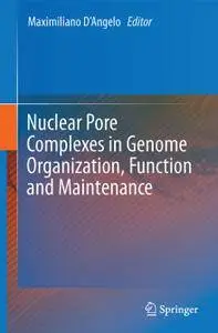 Nuclear Pore Complexes in Genome Organization, Function and Maintenance