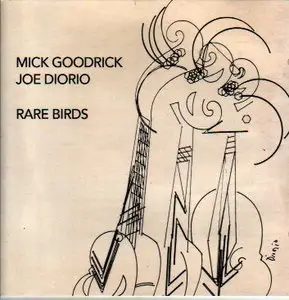 Mick Goodrick & Joe Diorio - Rare Birds