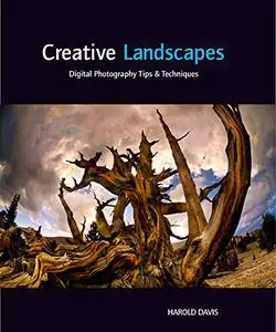 Creative Landscapes: Digital Photography Tips & Techniques
