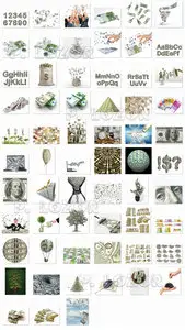 Money - dollars and euros