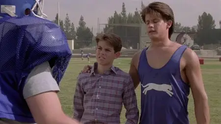 The Perfect Weapon (1991)