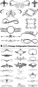 Vectors - Vintage Calligraphic Elements 3