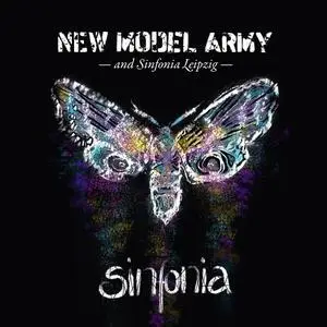New Model Army - Sinfonia (Live) (2023) [Official Digital Download 24/48]