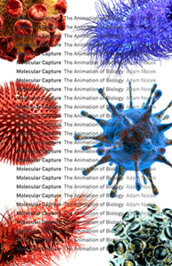 Molecular Capture : The Animation of Biology