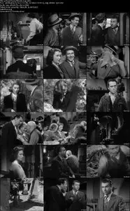 4 Passi Fra Le Nuvole / Four Steps in the Clouds (1942)