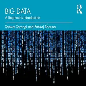 Big Data: A Beginner's Introduction [Audiobook]