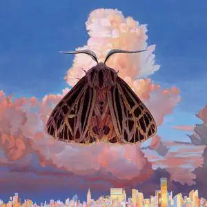 Chairlift - Moth (2016) [TR24][OF]