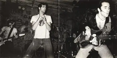 Dwarves - Blood Guts & Pussy (1990) {Sub Pop Records SP67b}