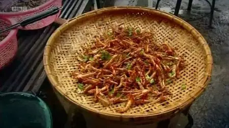 BBC - Can Eating Insects Save the World? (2013)