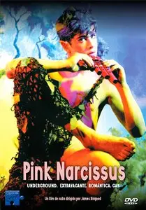 Pink Narcissus (1971)