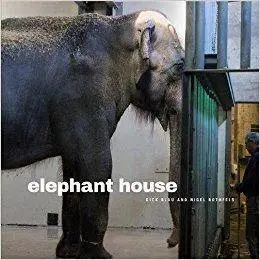 Elephant House (Animalibus: Of Animals and Cultures)
