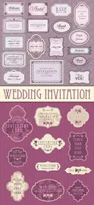 Wedding Invitation Elements Vector